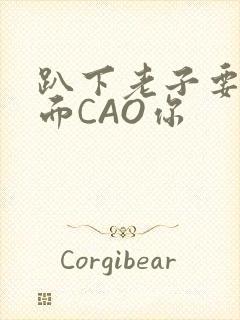 趴下老子要从后面CAO你