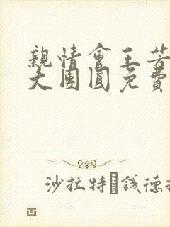 亲情会王芳高敏大团圆免费阅读