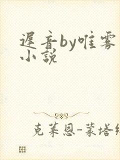 迟音by唯雾的小说