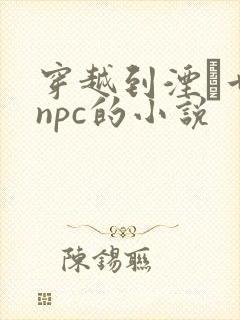 穿越到湮婸世界npc的小说