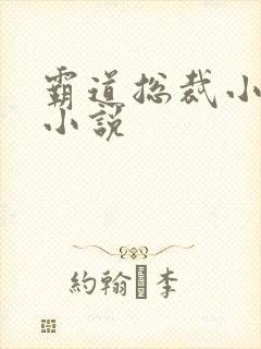 霸道总裁小娇妻小说