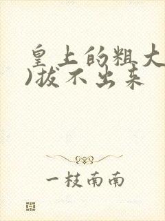 皇上的粗大(h)拔不出来