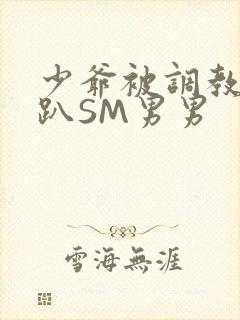 少爷被调教室跪趴SM男男