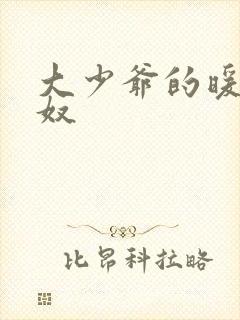 大少爷的暖床小奴封面