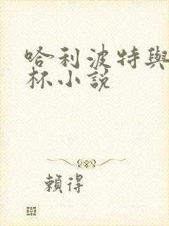 哈利波特与火焰杯小说