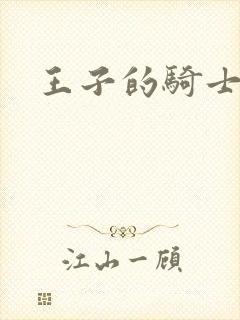 王子的骑士小说