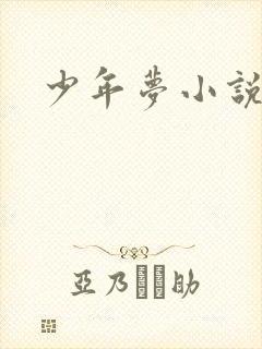 少年梦小说