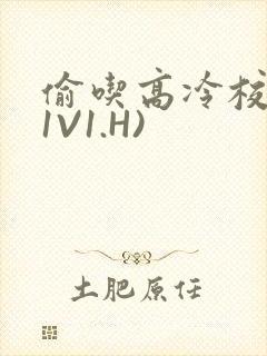 偷吃高冷校草(1V1.H)