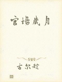 官场岁月