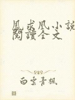 凤求凰小说免费阅读全文