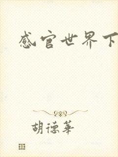 感官世界下载