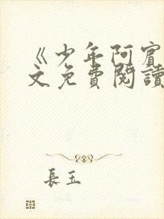 《少年阿宾》全文免费阅读