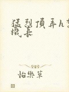 猛烈顶弄h禁欲机长