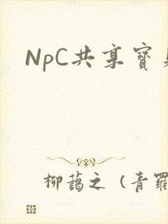 NpC共享宝贝