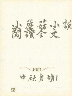 小蘑菇小说免费阅读全文