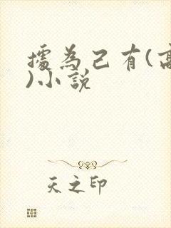 据为己有(高干)小说