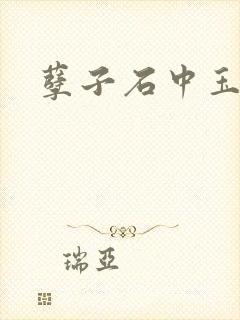 孽子石中玉