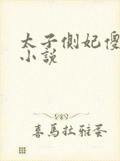 太子侧妃傻乎乎小说