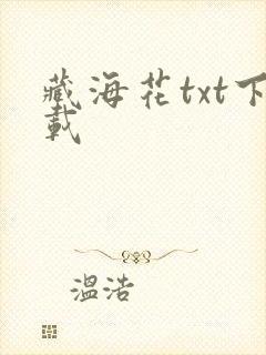 藏海花txt下载