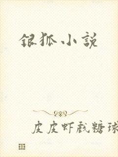 银狐小说