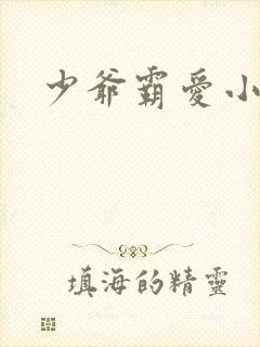 少爷霸爱小丫头