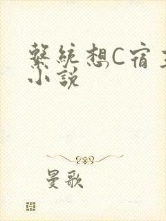 系统想C宿主的小说