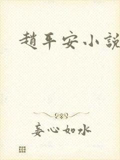 赵平安小说主角