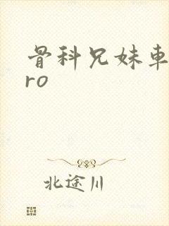 骨科兄妹车多pro