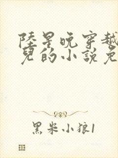 陆星晚穿越成婴儿的小说免费阅读全文