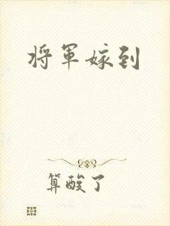 将军嫁到