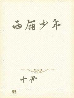 西厢少年