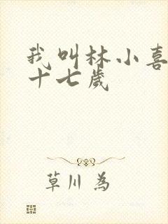 我叫林小喜今年十七岁