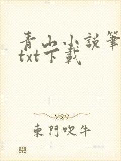 青山小说笔趣阁txt下载封面