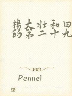 杨大壮和田桂花的第二十九