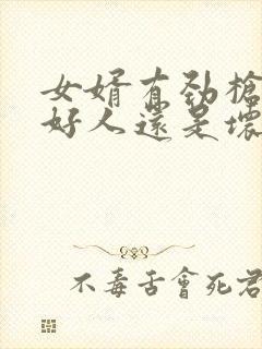 女婿有劲枪枪是好人还是坏人封面