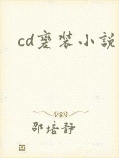 cd变装小说封面