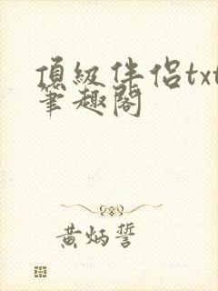 顶级伴侣txt笔趣阁