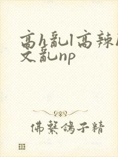高h乱l高辣h文乱np