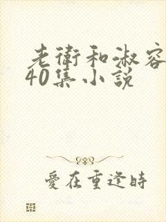 老卫和淑容1-40集小说