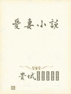 爱妻小说