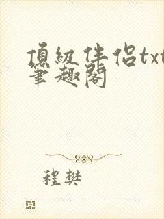 顶级伴侣txt笔趣阁