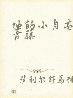 他的小月亮by青藤