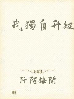 我独自升级小说