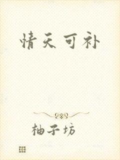 情天可补