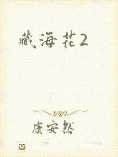 藏海花2