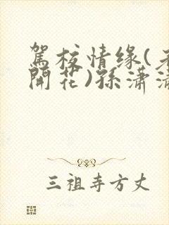 驾校情缘(老树开花)孙潇潇第一次趣笔阁