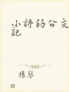 小诗的公交车日记