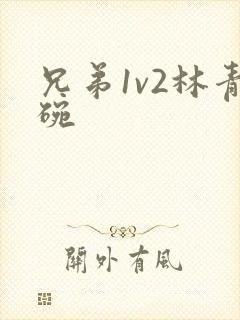 兄弟1v2林青碗封面