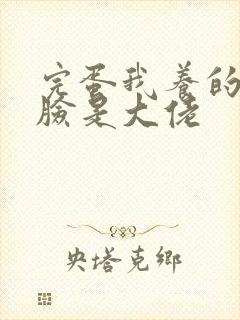 完蛋我养的小白脸是大佬