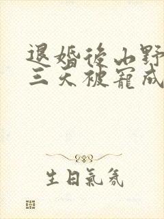 退婚后山野糙汉三天被宠成宝小说